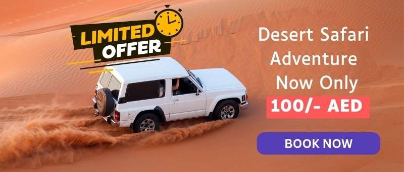 Desert Safari Promotion banner