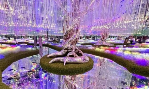 AYA Universe Dubai tickets,UAE Tour Packages, Dubai Tour Packages, CabioTourism,Yacht rental Dubai, Yacht parties Dubai, Musandam Tour Package, Dibba Dhow Cruise,,Travel agency in Dubai,Burj Khalifa Tickets, Burj Khalifa Tour, Desert Safari in UAE