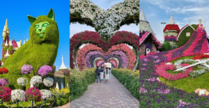 UAE Tour Packages | Dubai Tour Packages | CabioTourism | DUBAI MIRACLE GARDEN