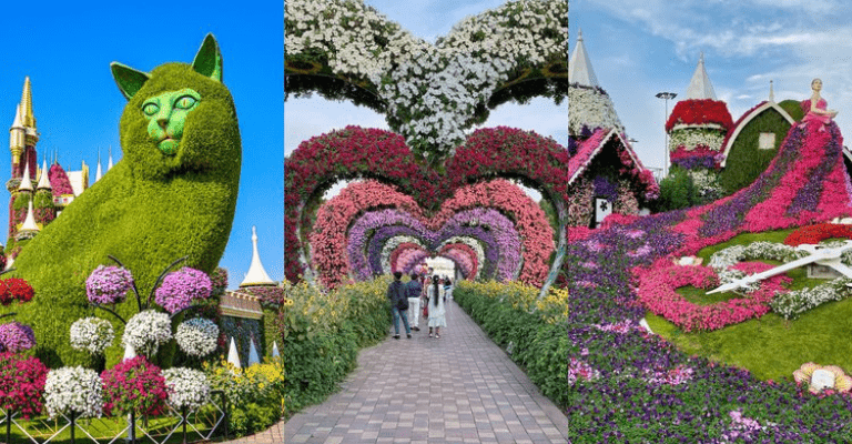 UAE Tour Packages | Dubai Tour Packages | CabioTourism | DUBAI MIRACLE GARDEN