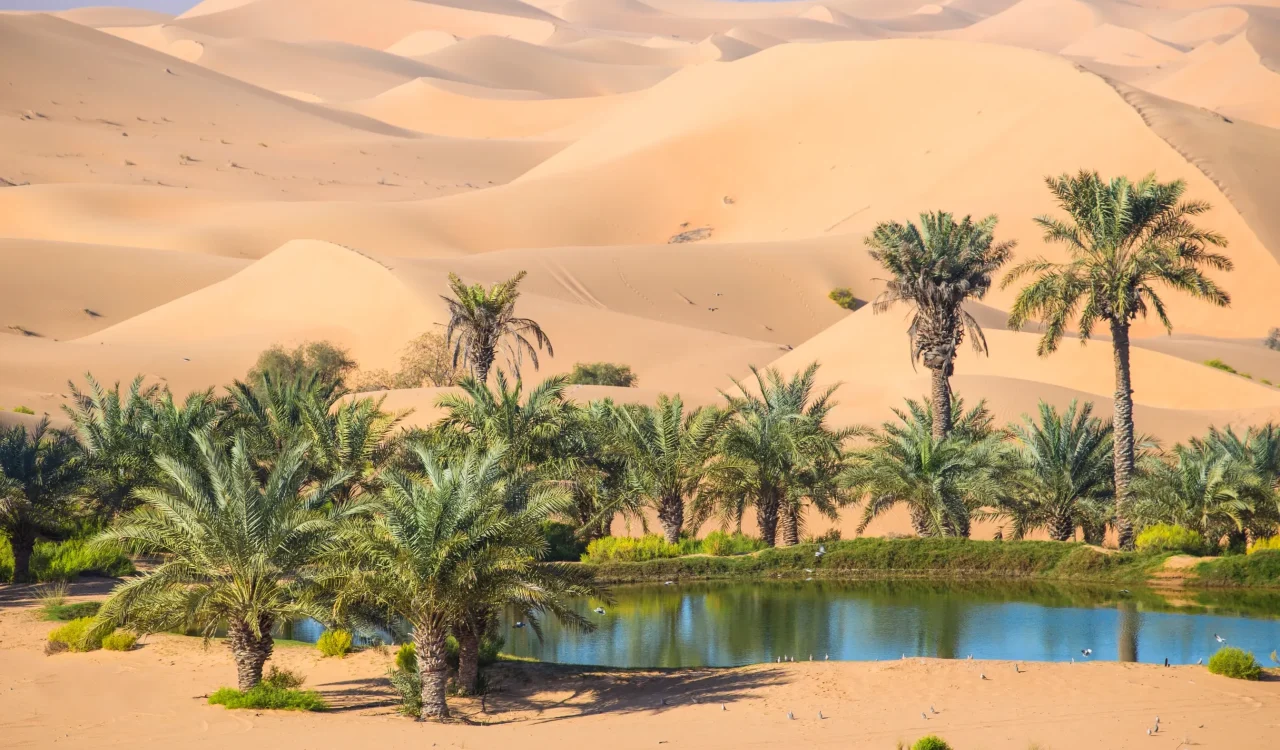 Abu Dhabi City Tour - Al Ain Oasis