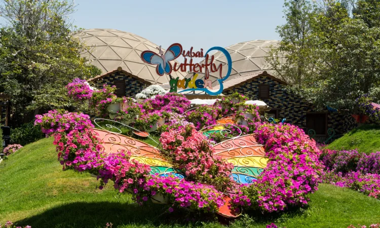 Butterfly Garden Dubai - Butterfly Decoration