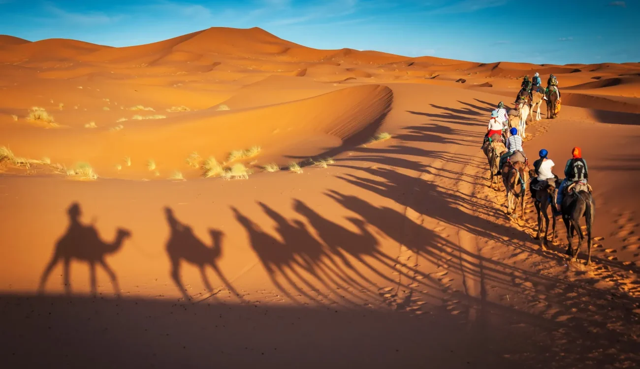 Desert Safari Dubai - Camel Riding