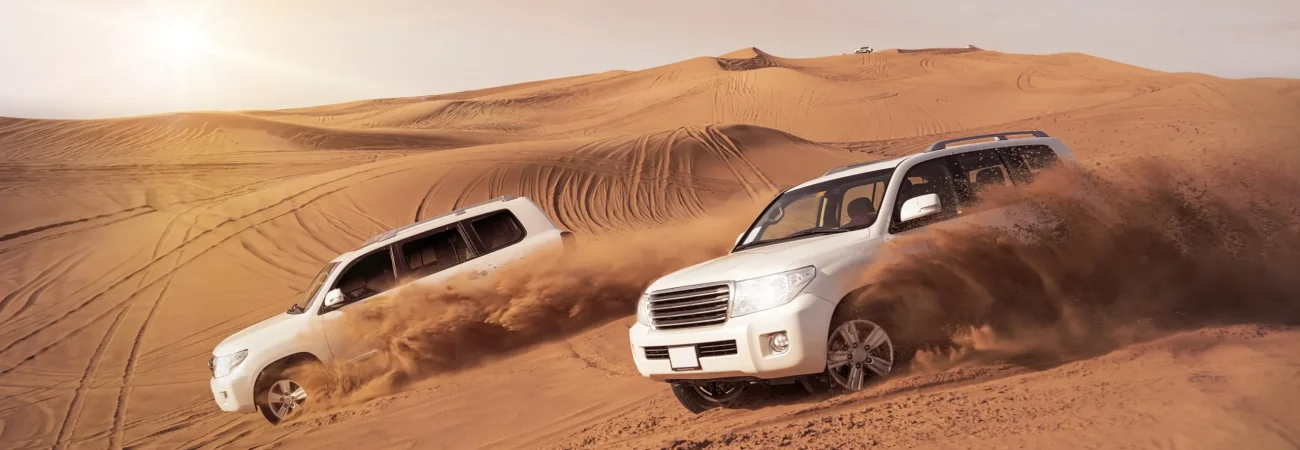 Desert Safari Dubai - Vehicles Dune Bashing