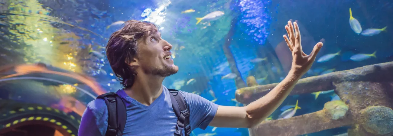 Dubai Aquarium & Underwater Zoo - Curious Tourist