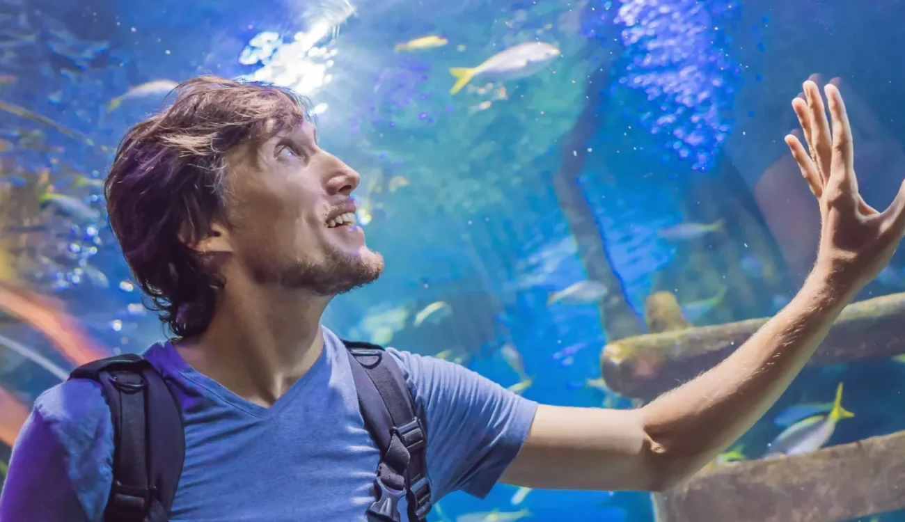 Dubai Aquarium & Underwater Zoo - Curious Tourist