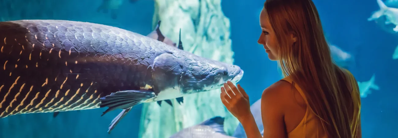 Dubai Aquarium & Underwater Zoo - Tourist