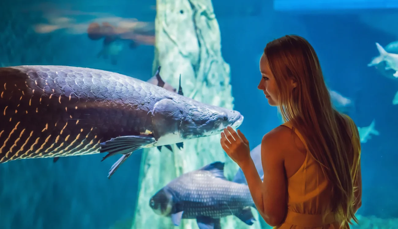 Dubai Aquarium & Underwater Zoo - Tourist