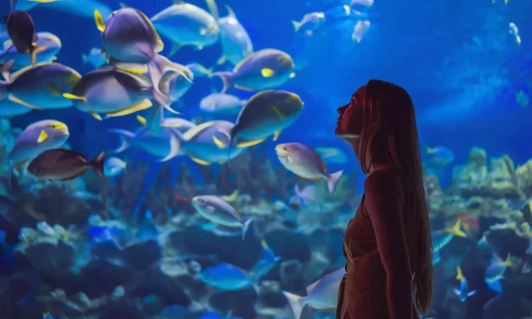 Dubai Aquarium & Underwater Zoo - Woman admiring fishes