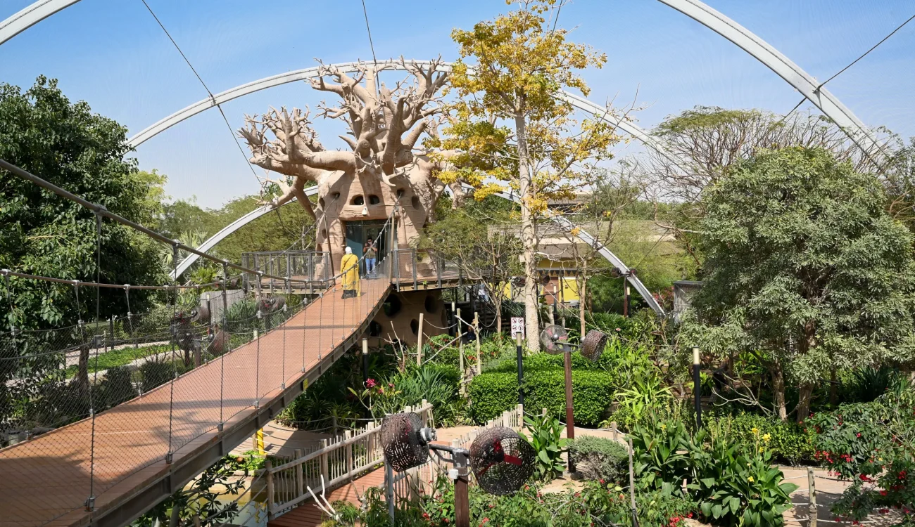 Dubai Safari Park - Visitor