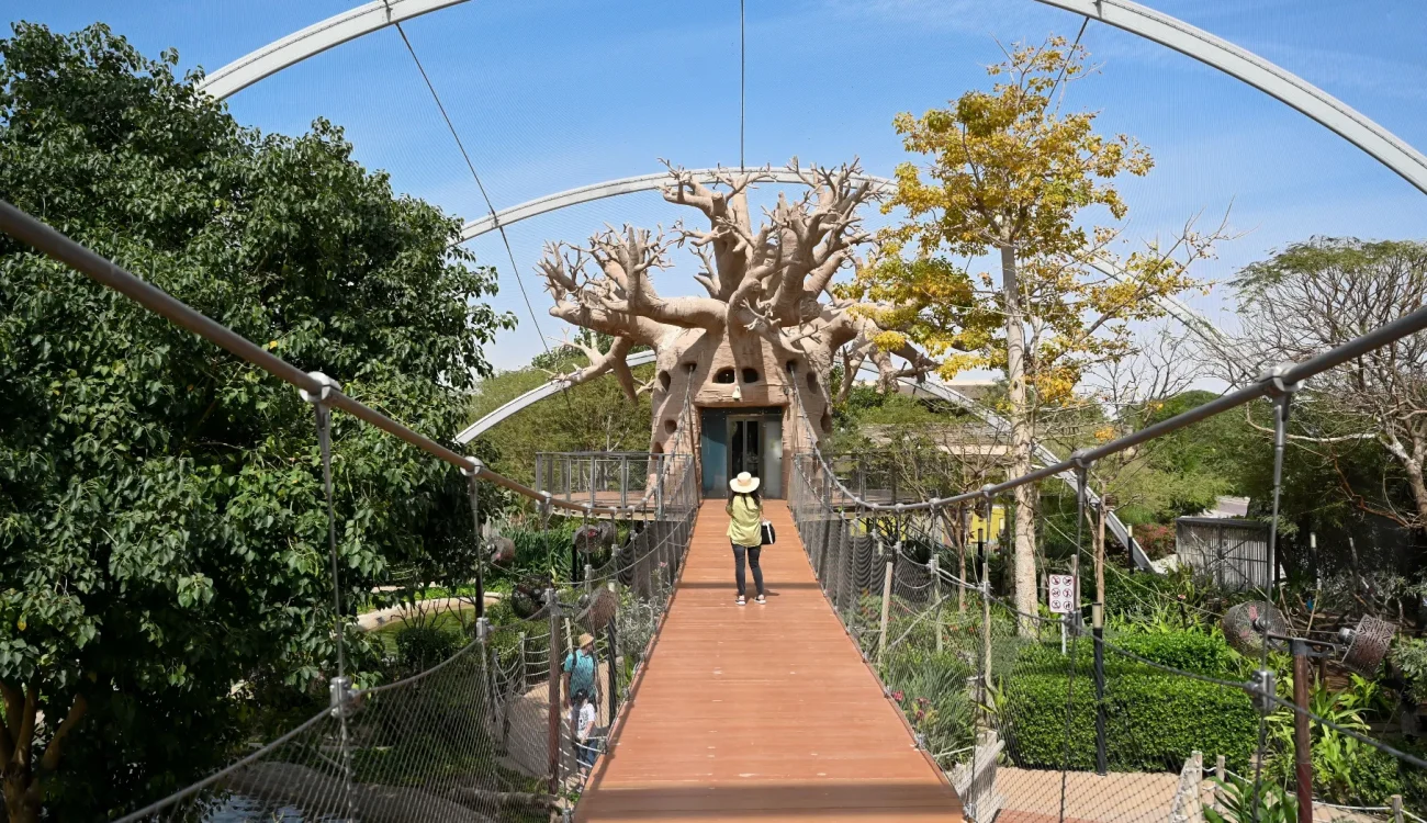 Dubai Safari Park - Visitor