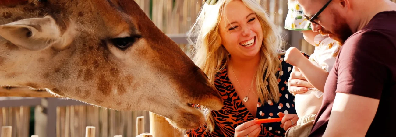 Dubai Safari Park - Visitors