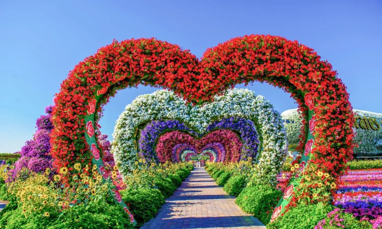 Miracle Garden Dubai - Walk Way