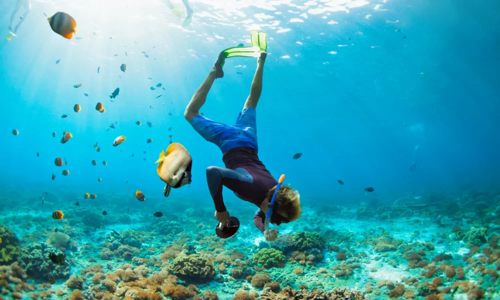 Musandam Oman - Snorkeling