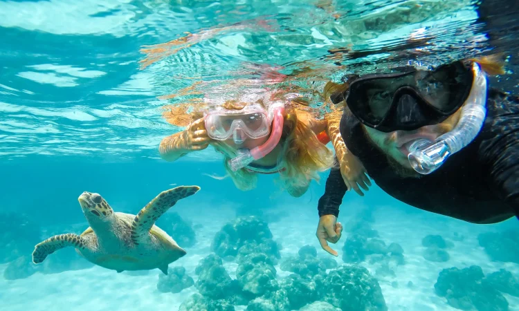 Musandam Oman - Snorkeling