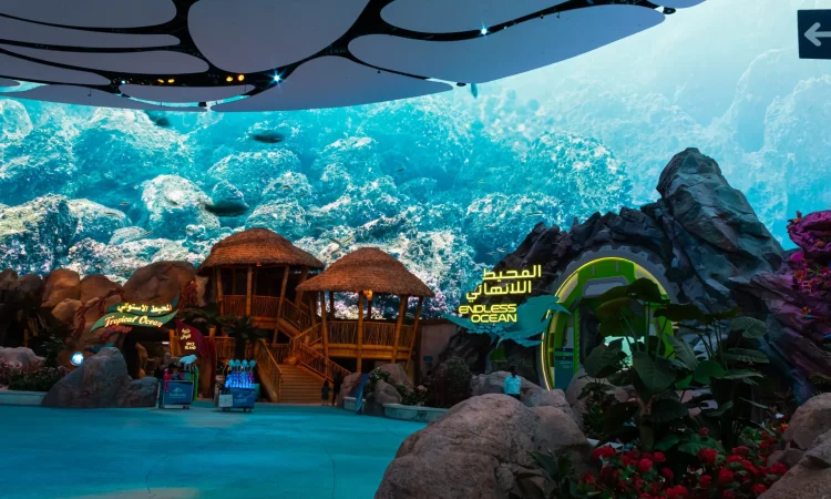 SeaWorld Yas Island, Abu Dhabi - Endless Ocean and Tropical Ocean