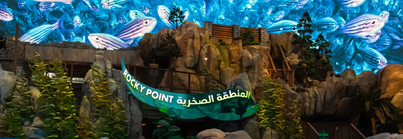 SeaWorld Yas Island, Abu Dhabi - Rocky Point