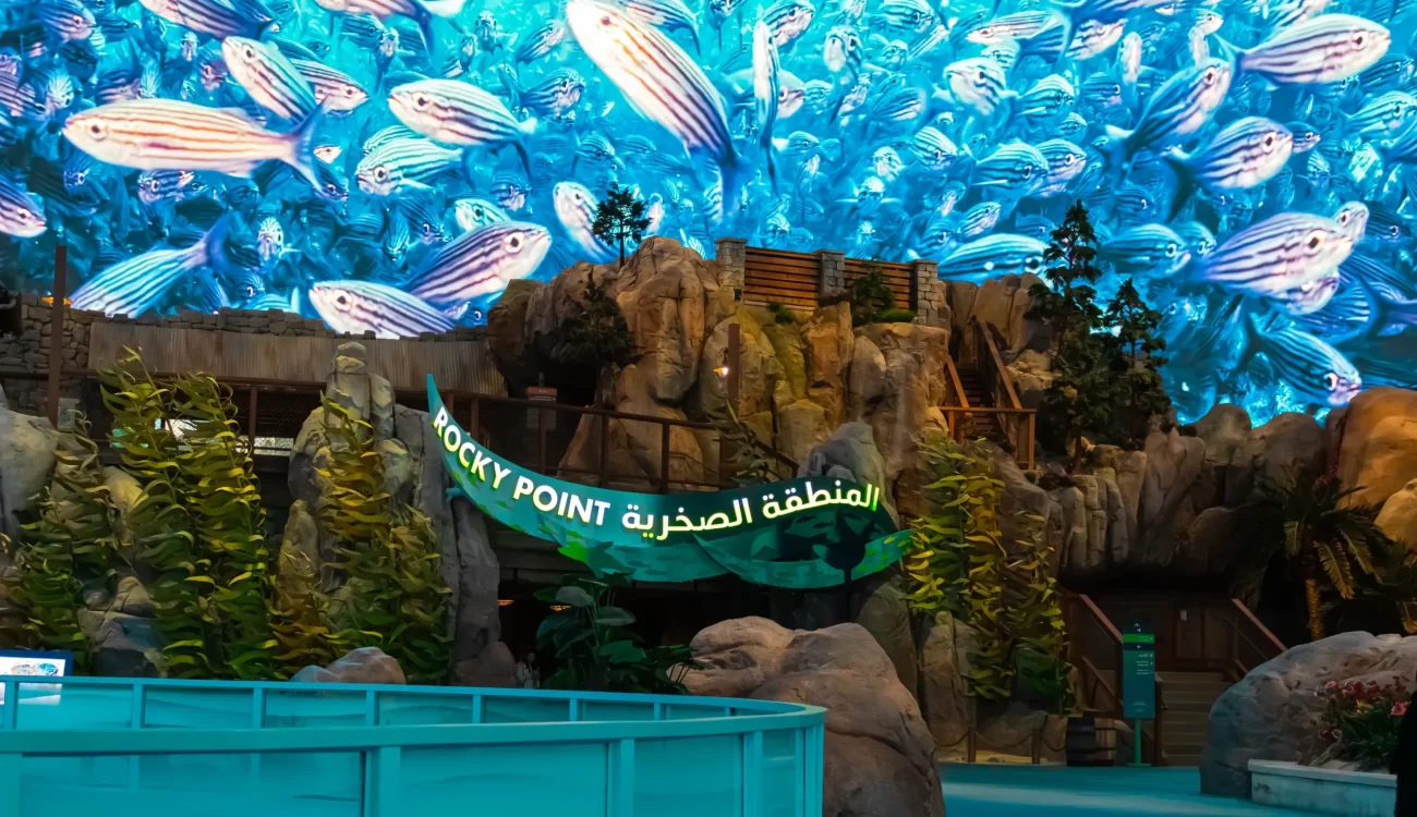 SeaWorld Yas Island, Abu Dhabi - Rocky Point