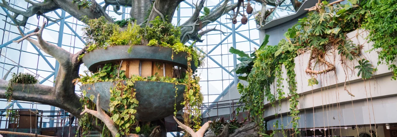 The Green Planet Dubai - Indoor Rainforest Dome