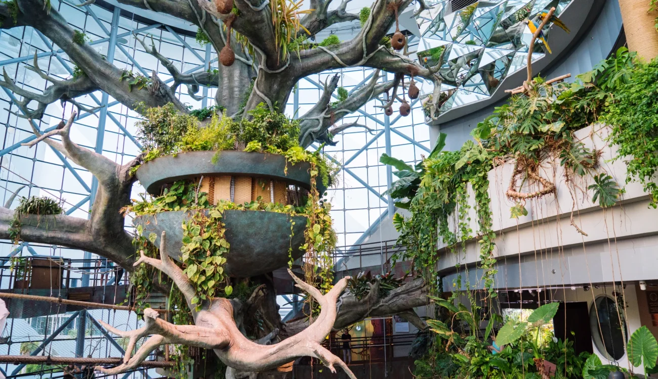 The Green Planet Dubai - Indoor Rainforest Dome