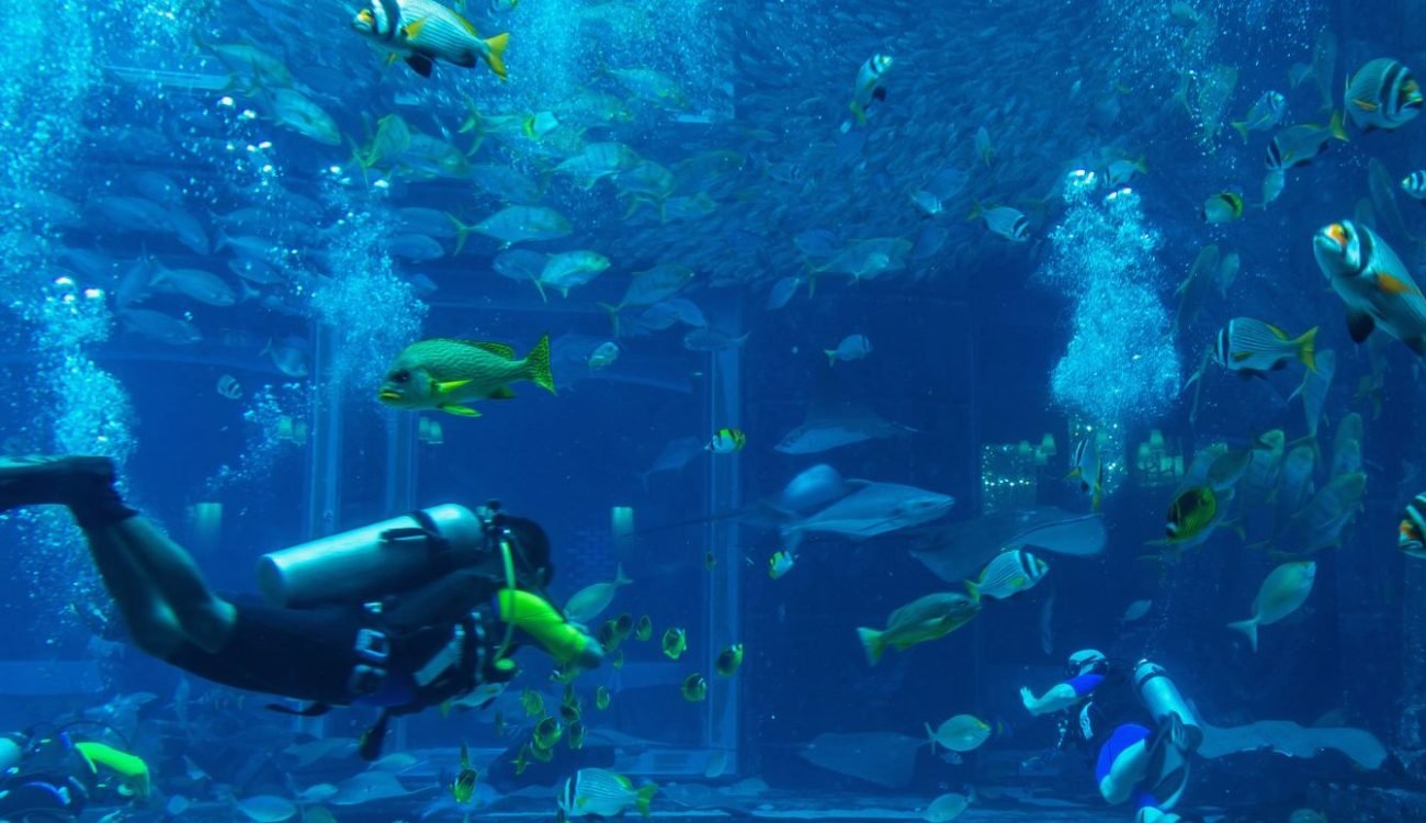 The Lost Chamber Aquarium Dubai