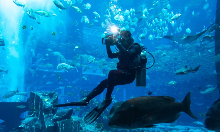 The Lost Chambers Aquarium Dubai - Scuba Diver