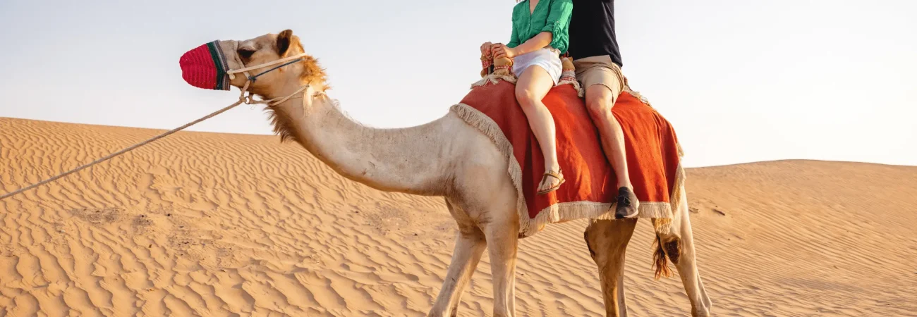 Dubai Desert Adventure